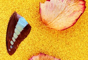 Freeze by Marius Glauer at Bad Posture