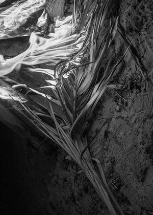 Toy World by Farah Al Qasimi at The Third Line