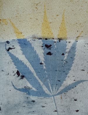 H Is For Hemp, A Green Art Extravaganza by Maren Krings at Fonderia 20.9