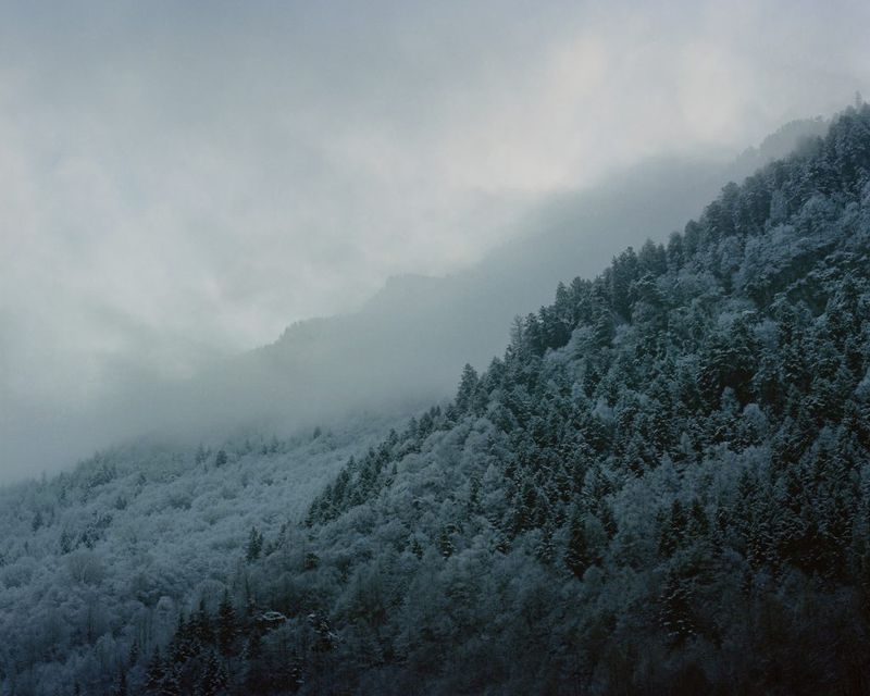 © Arianna Arcara