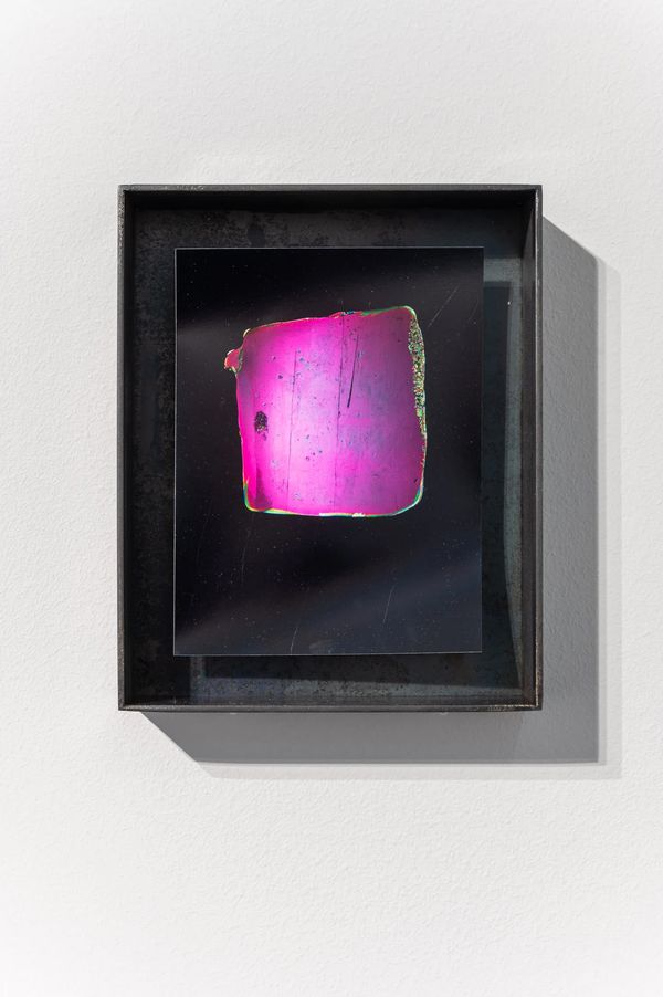 Exhibition View, Laure Winants. From A Tongue We Are Losing, Foto Arsenal Wien, 2024 © Michael Seirer Photography