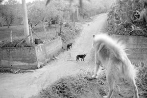 Not A Lot, Just Forever By Anna Adamo at Mucho Mas!