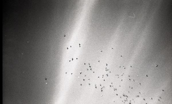 © Fotohane Darkroom