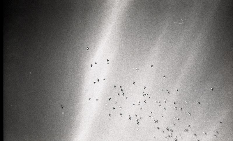© Fotohane Darkroom