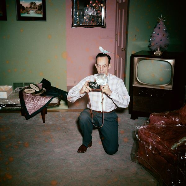 © The Anonymous Project by Lee Shulman