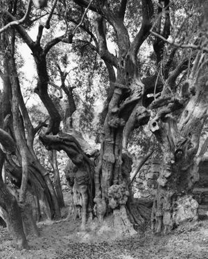 Silent Times at Kunsthal Extra City