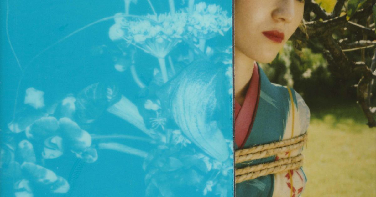POLARAKI – Thousand Polaroids by Araki Nobuyoshi at Musée Guimet