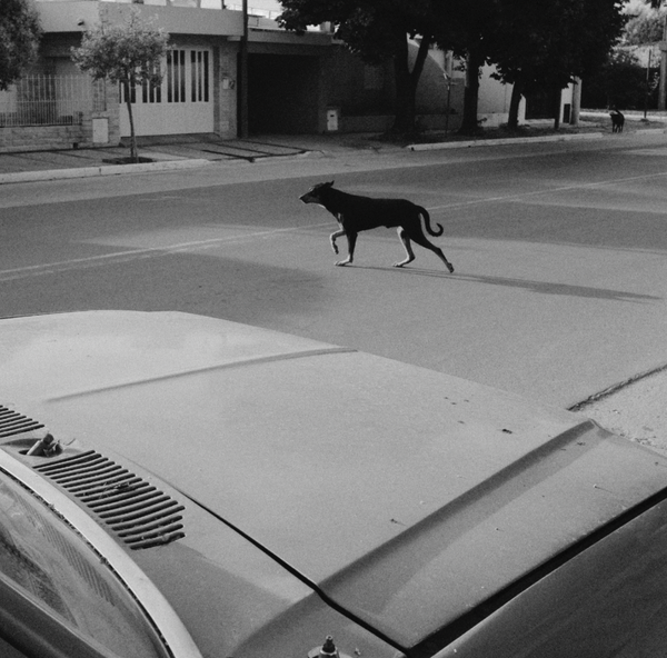 © Francisco Cantón