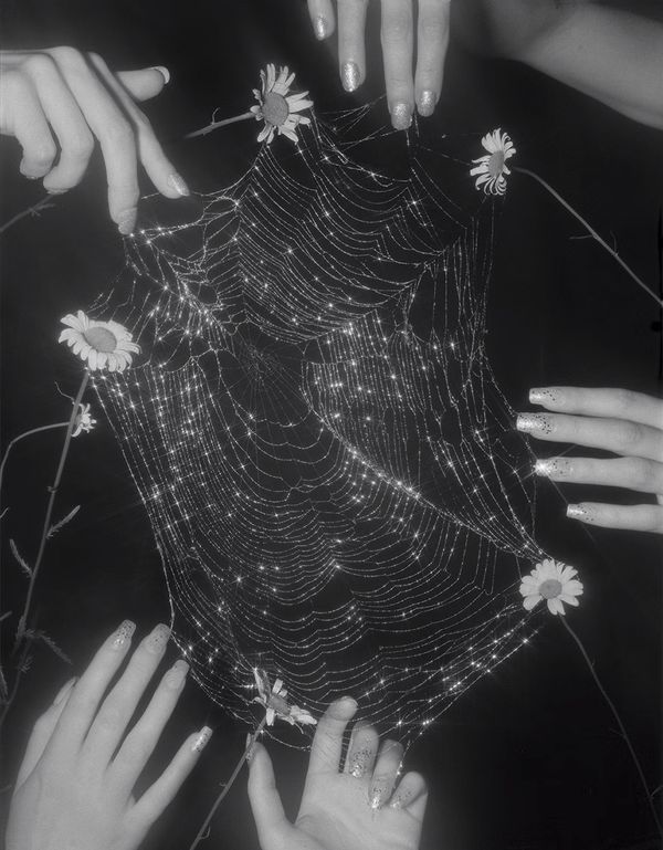 © Pia-Paulina Guilmoth