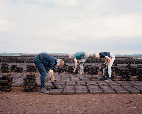 © Shane Hynan