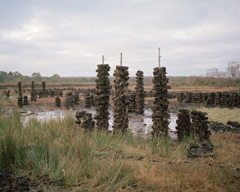 © Shane Hynan