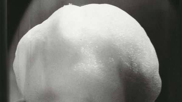 Image from a project on PhMuseum