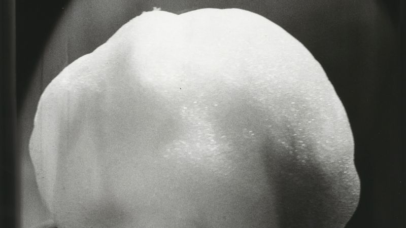 Image from a project on PhMuseum