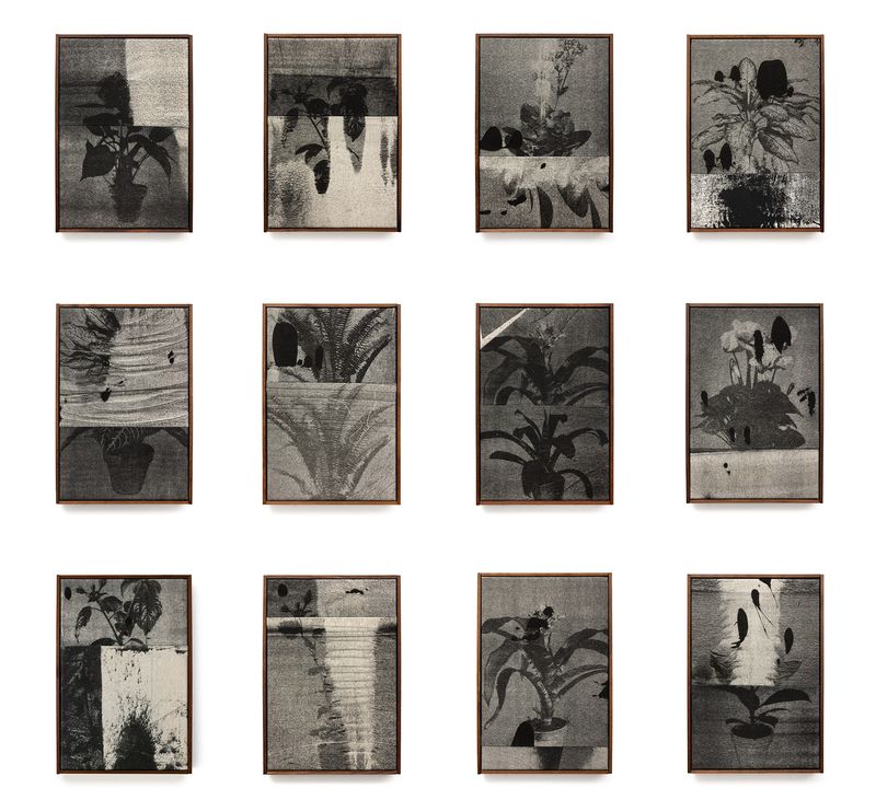 © Magdalena Wysocka and Claudio Pogo