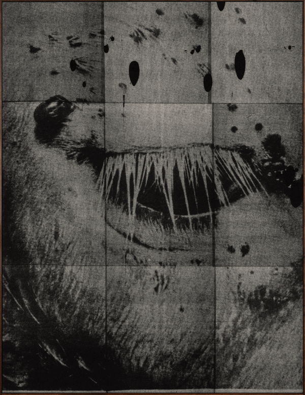 © Magdalena Wysocka and Claudio Pogo