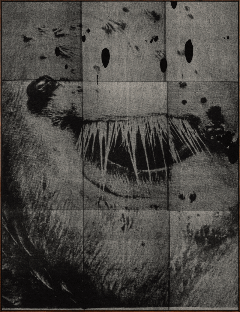 © Magdalena Wysocka and Claudio Pogo