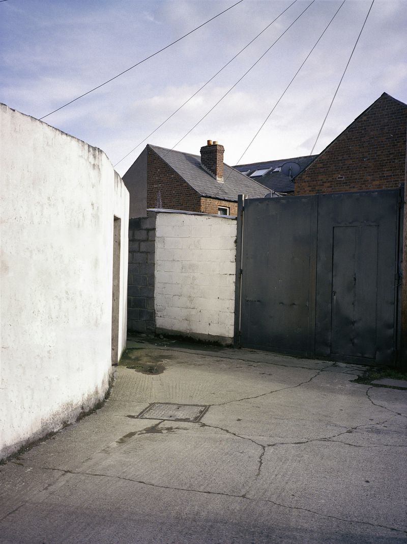 © Shane Lynam