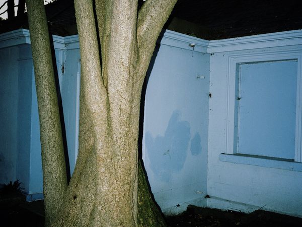 © Shane Lynam