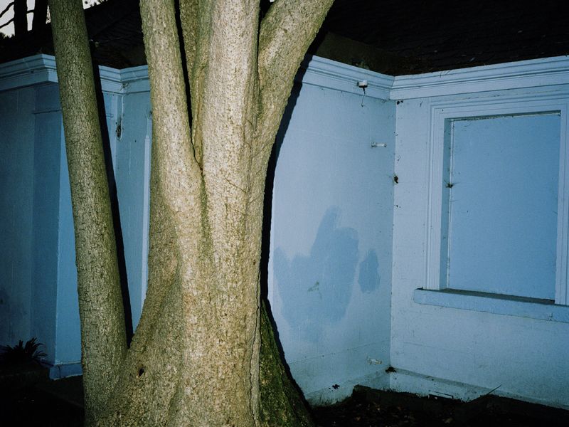 © Shane Lynam