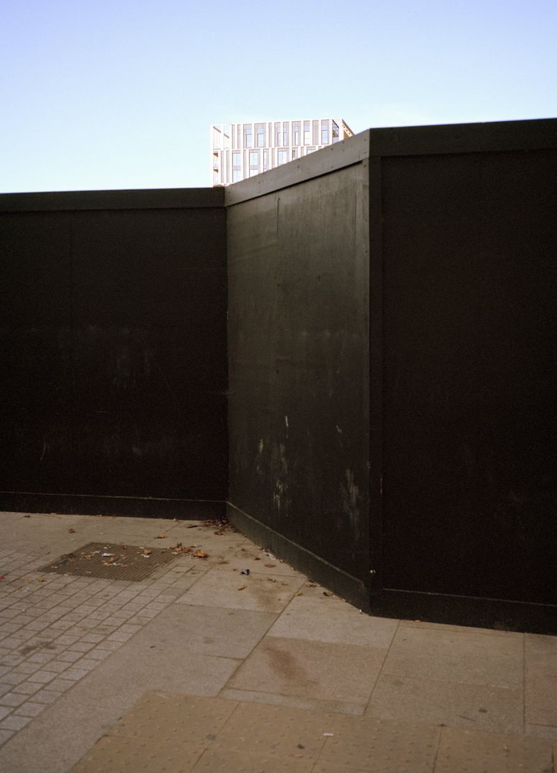 © Shane Lynam