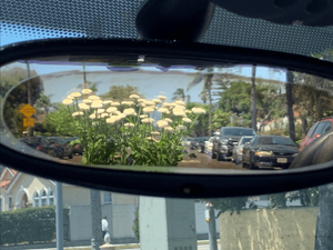 Total by Martine Syms at Lafayette Anticipations