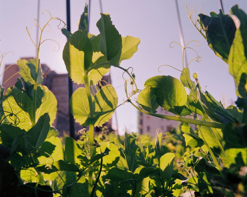 © Alexandra Baumgartner