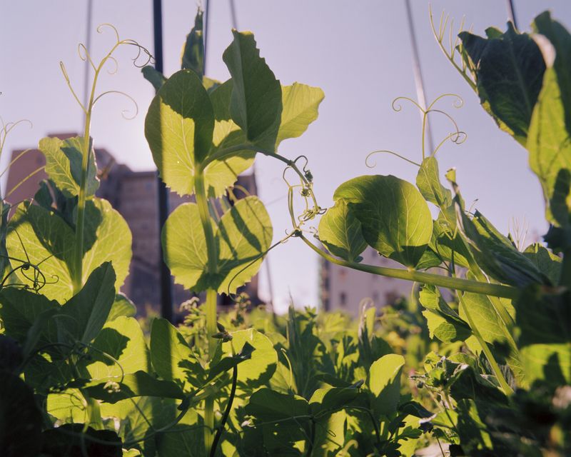 © Alexandra Baumgartner