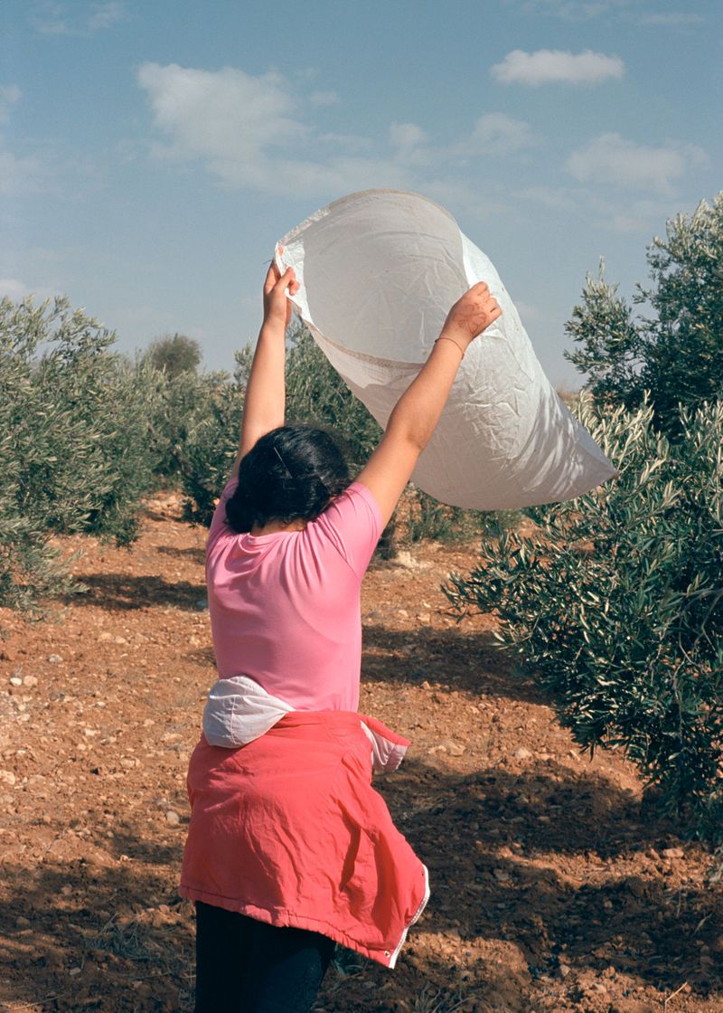 © Alexandra Baumgartner