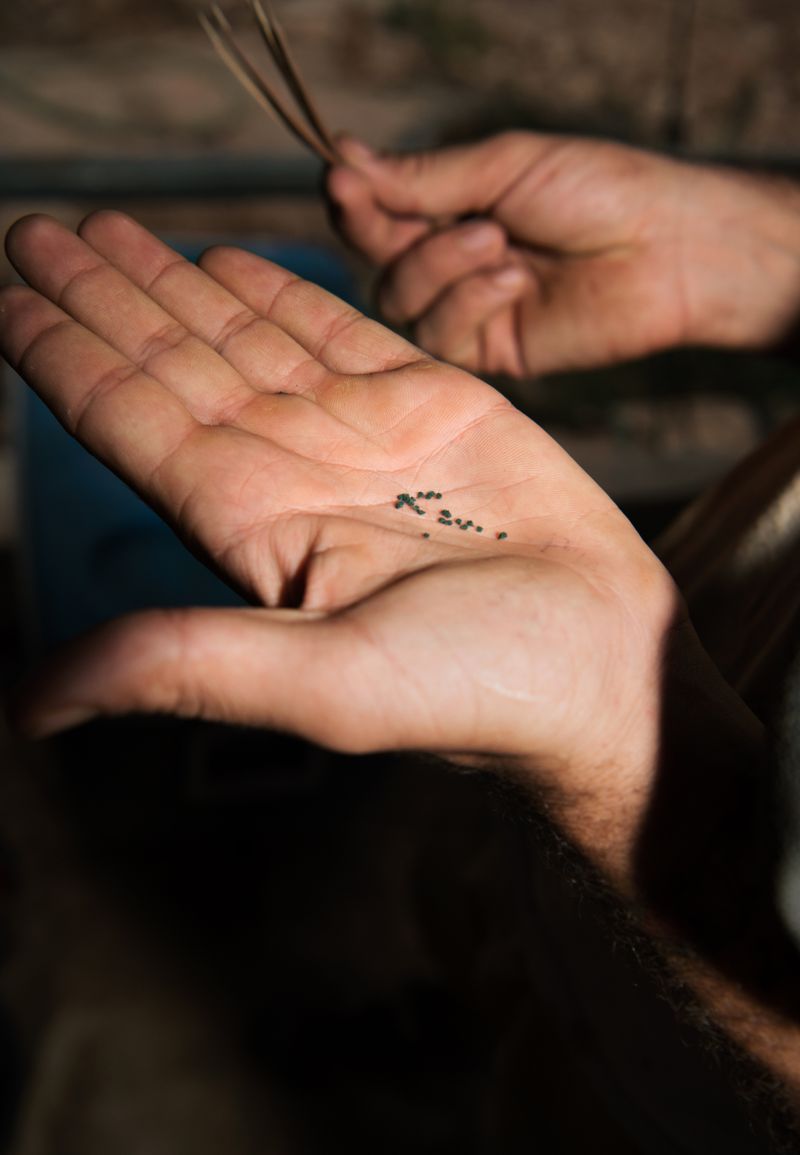 © Alexandra Baumgartner