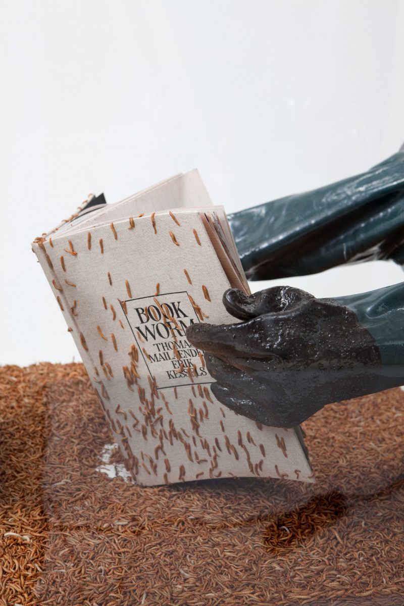 © Thomas Mailaender