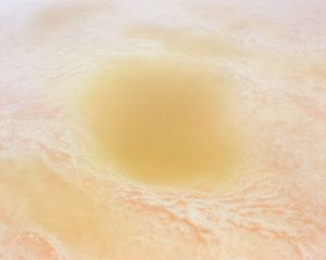 Open Veins by Maximiliano Tineo, Sarah Schneider and Stella Meyer at PhMuseum Lab