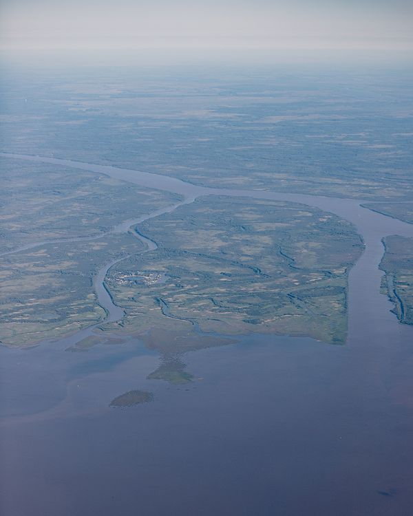 © Maximiliano Tineo