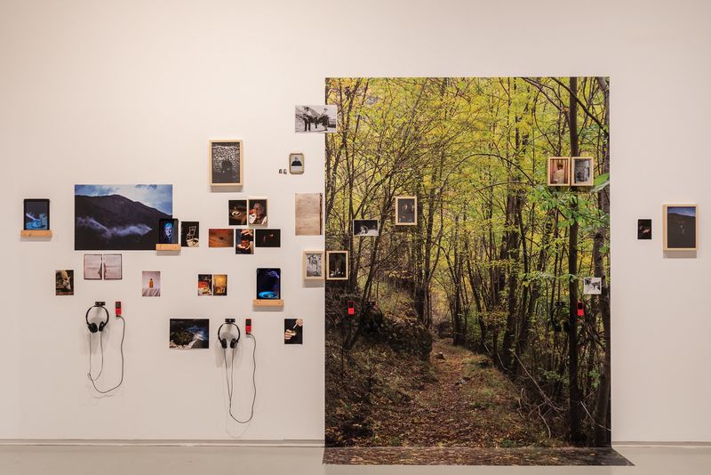 © Neus Solà and Marta G. Cardellach