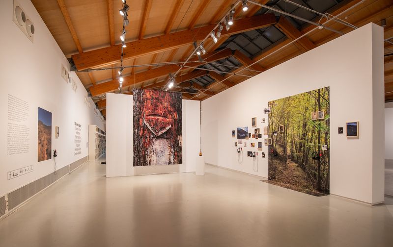 © Neus Solà and Marta G. Cardellach