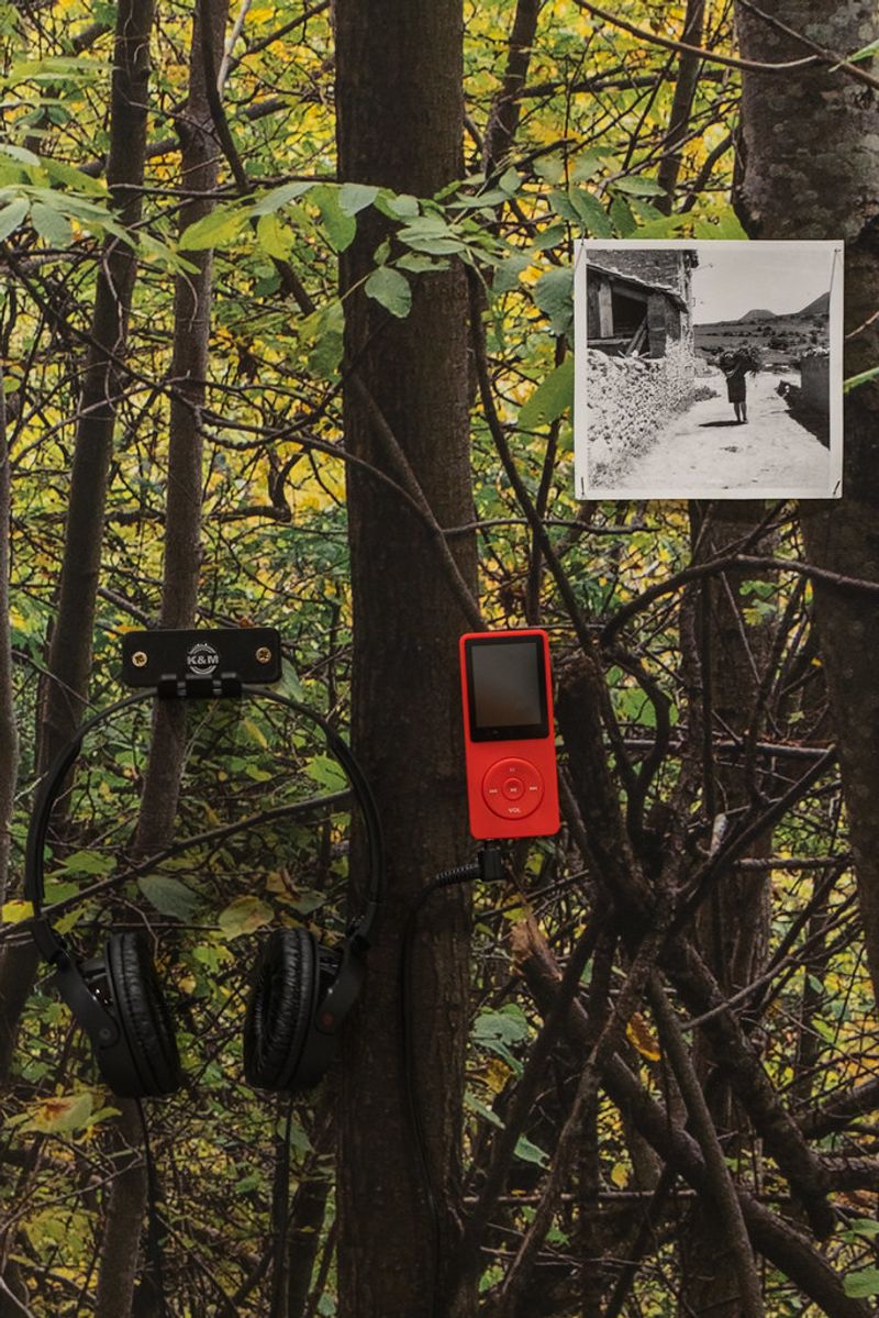 © Neus Solà and Marta G. Cardellach