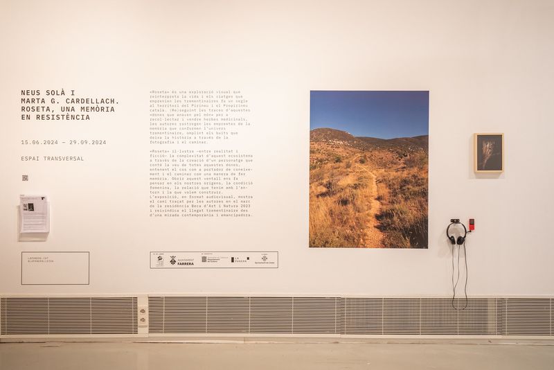 © Neus Solà and Marta G. Cardellach