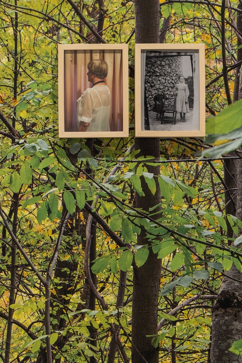 © Neus Solà and Marta G. Cardellach