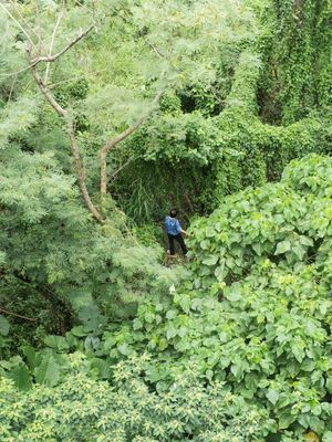 Happy Valley by Pierfrancesco Celada at Esplanade - Theatres On The Bay