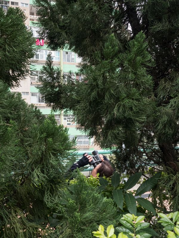 © Pierfrancesco Celada