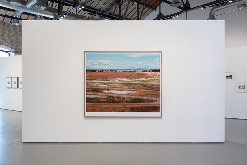 © Eleonora Cerri Pecorella