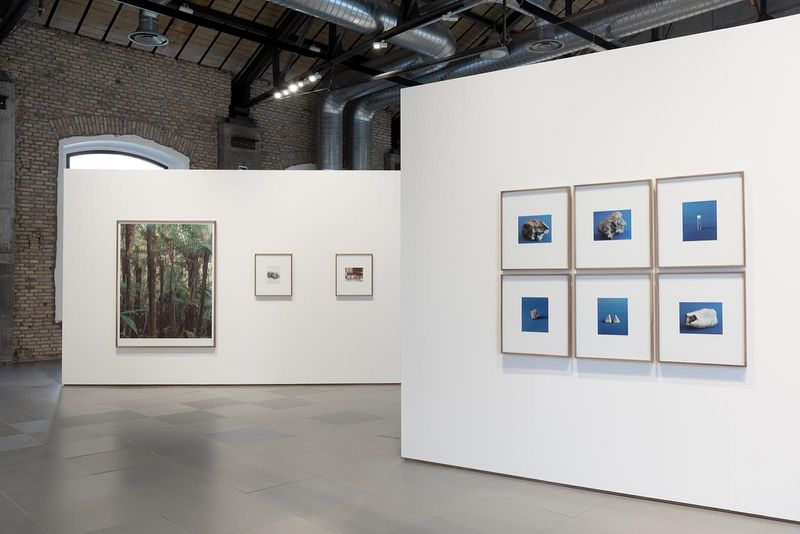 © Eleonora Cerri Pecorella