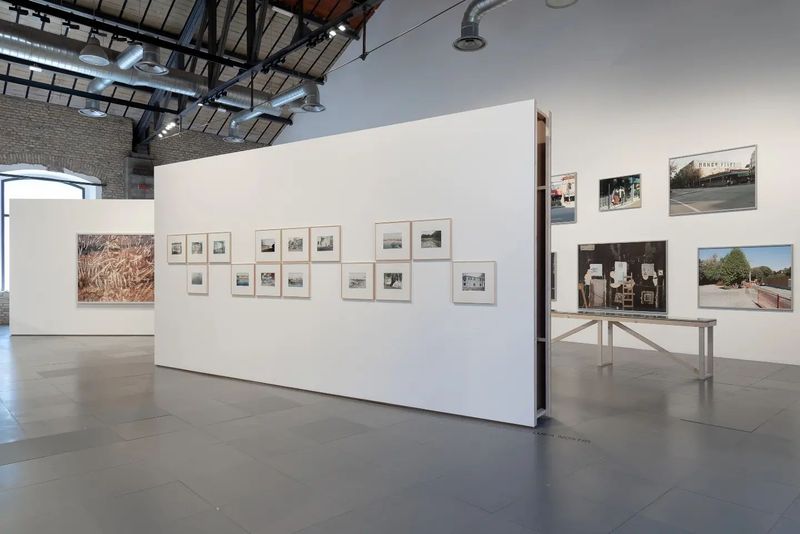 © Eleonora Cerri Pecorella