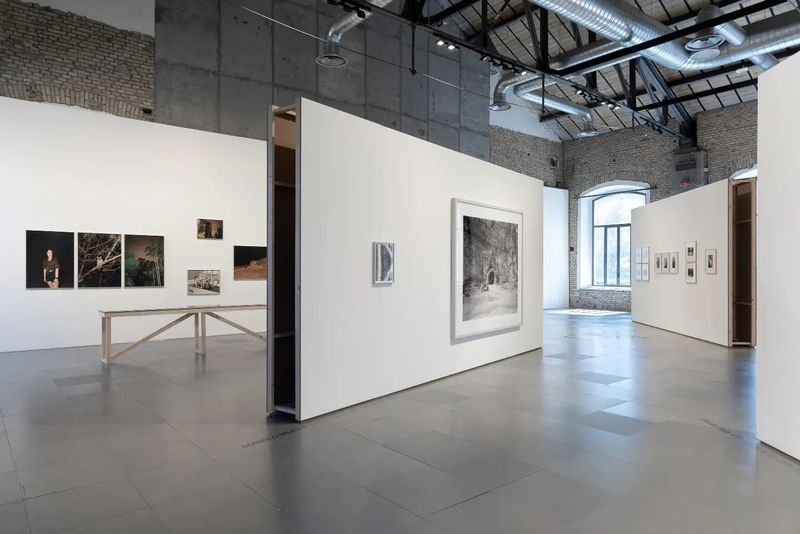 © Eleonora Cerri Pecorella