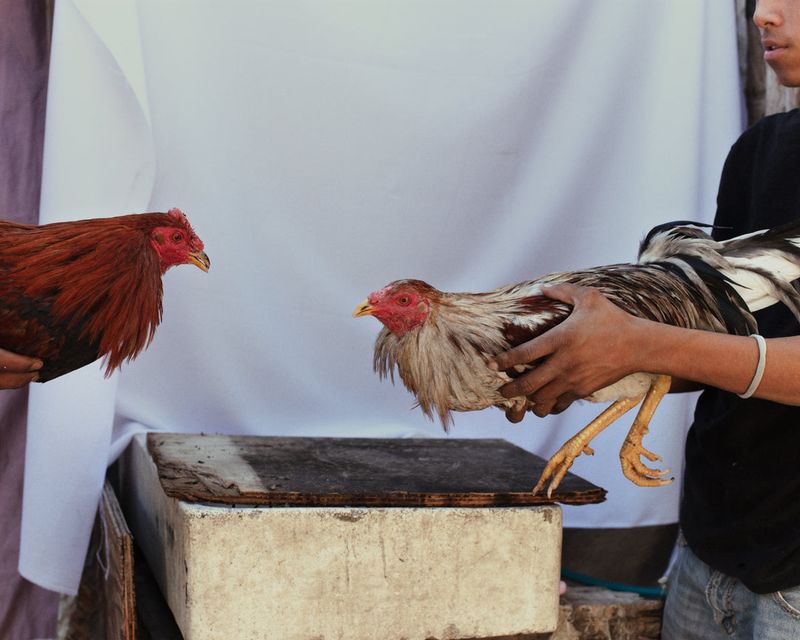 © Felipe Romero Beltrán