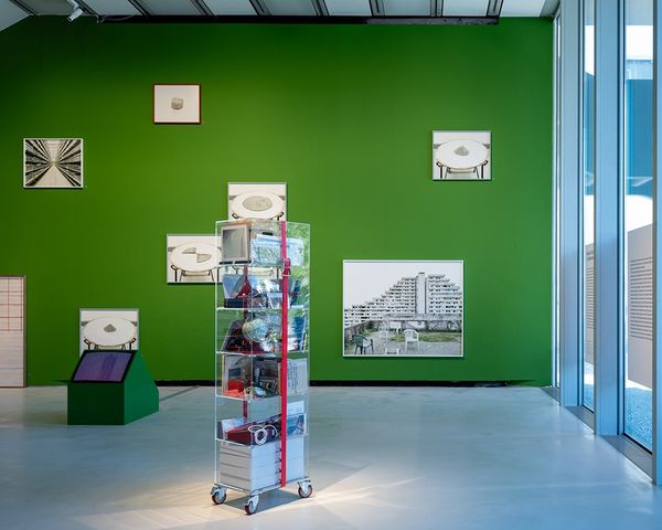 © Nicola Di Giorgio