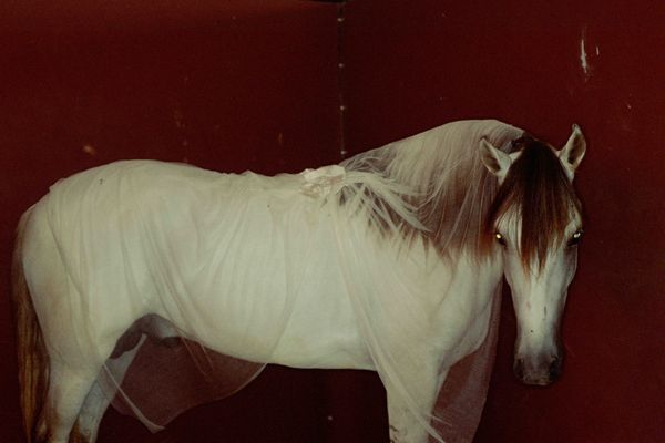 © Camille Vivier