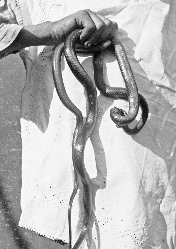 © Leonardo Magrelli