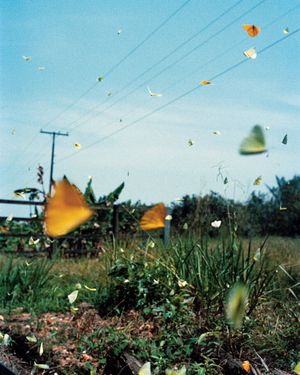 When Images Take Care at Centre de la Photographie Genève