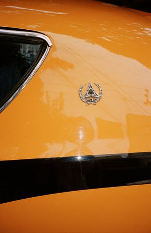 Máquina Afectiva by Carolina Pimenta at General Expenses