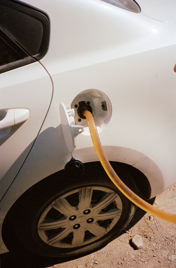 © Carolina Pimienta, MÁQUINA AFECTIVA, 2026. Cortesía del artista y General Expenses, Ciudad de México.